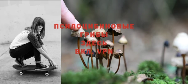 бошки Армянск