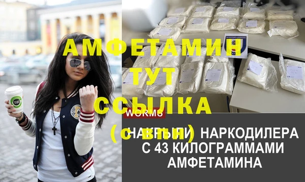 a pvp Аркадак