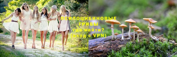 бошки Армянск