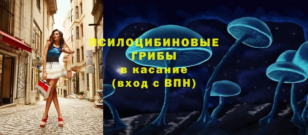 бошки Армянск